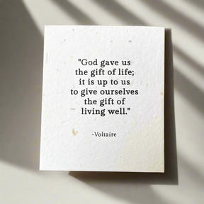 Voltaire, Birthday